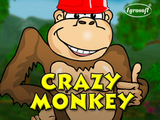Slot Crazy Monkey