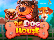 Slot The Dog House